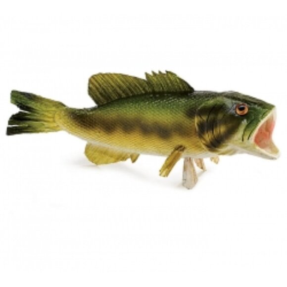 Large Mouth Bass Fish - Picture 1 of 1